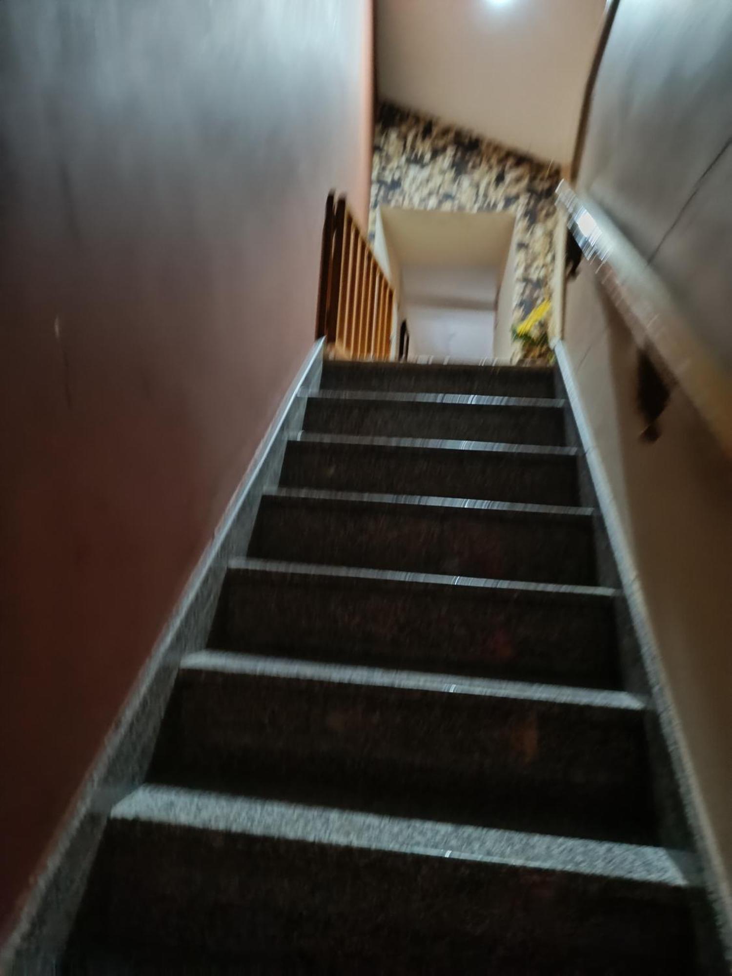 לוגו Apartamento Edita מראה חיצוני תמונה